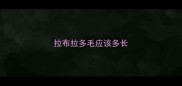 拉布拉多毛应该多长