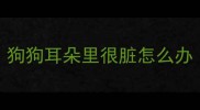 狗狗耳朵里很脏怎么办