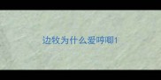 边牧为什么爱哼唧