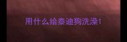 用什么给泰迪狗洗澡