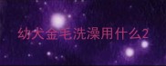 幼犬金毛洗澡用什么