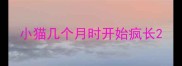 小猫几个月时开始疯长