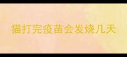 猫打完疫苗会发烧几天