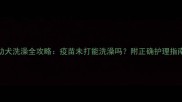 幼犬洗澡全攻略疫苗未打能洗澡吗附正确护理指南
