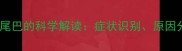 拉布拉多怀孕夹尾巴的科学解读症状识别原因分析及饲养指南