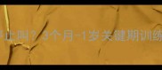 小泰迪什么时候停止叫3个月-1岁关键期训练全攻略家长必看