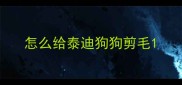 怎么给泰迪狗狗剪毛