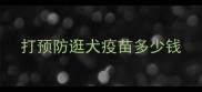 打预防逛犬疫苗多少钱