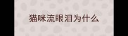 猫咪流眼泪为什么