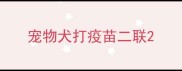 宠物犬打疫苗二联