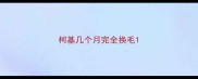 柯基几个月完全换毛