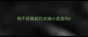 狗不舒服能打犬细小疫苗吗