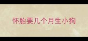 怀胎要几个月生小狗