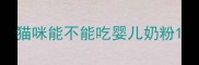 猫咪能不能吃婴儿奶粉