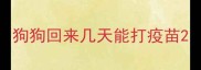 狗狗回来几天能打疫苗