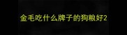 金毛吃什么牌子的狗粮好