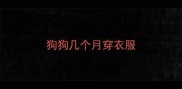 狗狗几个月穿衣服