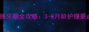 泰迪幼犬换牙期全攻略3-8月龄护理要点大公开