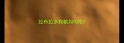 拉布拉多狗粮如何吃