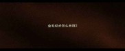 金毛幼犬怎么长胖