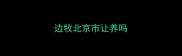 边牧北京市让养吗
