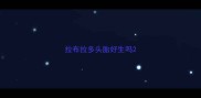 拉布拉多头胎好生吗
