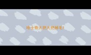 哈士奇大把大把掉毛