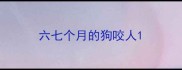 六七个月的狗咬人