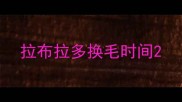 拉布拉多换毛时间