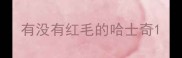 有没有红毛的哈士奇