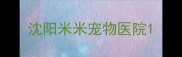 沈阳米米宠物医院