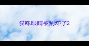 猫咪眼睛被刮坏了