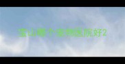 宝山哪个宠物医院好
