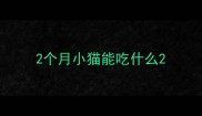 2个月小猫能吃什么
