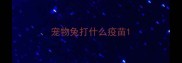 宠物兔打什么疫苗