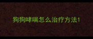 狗狗哮喘怎么治疗方法