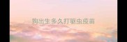 狗出生多久打驱虫疫苗