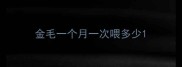 金毛一个月一次喂多少