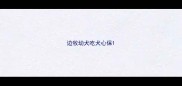 边牧幼犬吃犬心保
