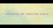 狗狗只吃肉不吃饭警惕可能是这3大问题附改善方案