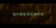 福州哪里有宠物市场