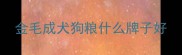 金毛成犬狗粮什么牌子好