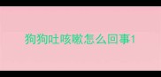狗狗吐咳嗽怎么回事