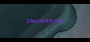 宠物出境检疫证明