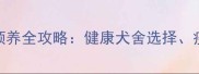 昆明哈士奇购买与领养全攻略健康犬舍选择疫苗护理及饲养指南