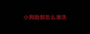 小狗脸部怎么清洗