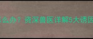 哈士奇频繁干呕怎么办资深兽医详解5大诱因与科学应对指南