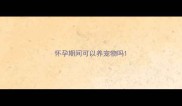 怀孕期间可以养宠物吗