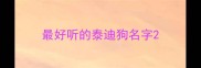 最好听的泰迪狗名字