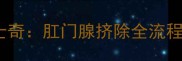 如何科学护理哈士奇肛门腺挤除全流程指南与注意事项